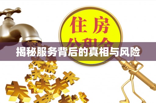垫江揭秘服务背后的真相与风险