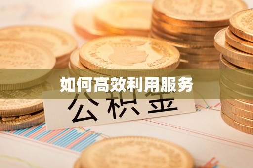 垫江如何高效利用服务