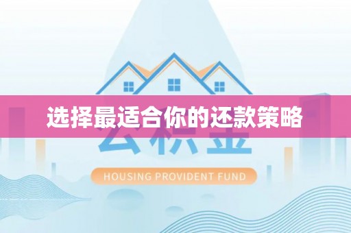 垫江选择最适合你的还款策略