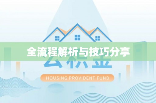 垫江全流程解析与技巧分享